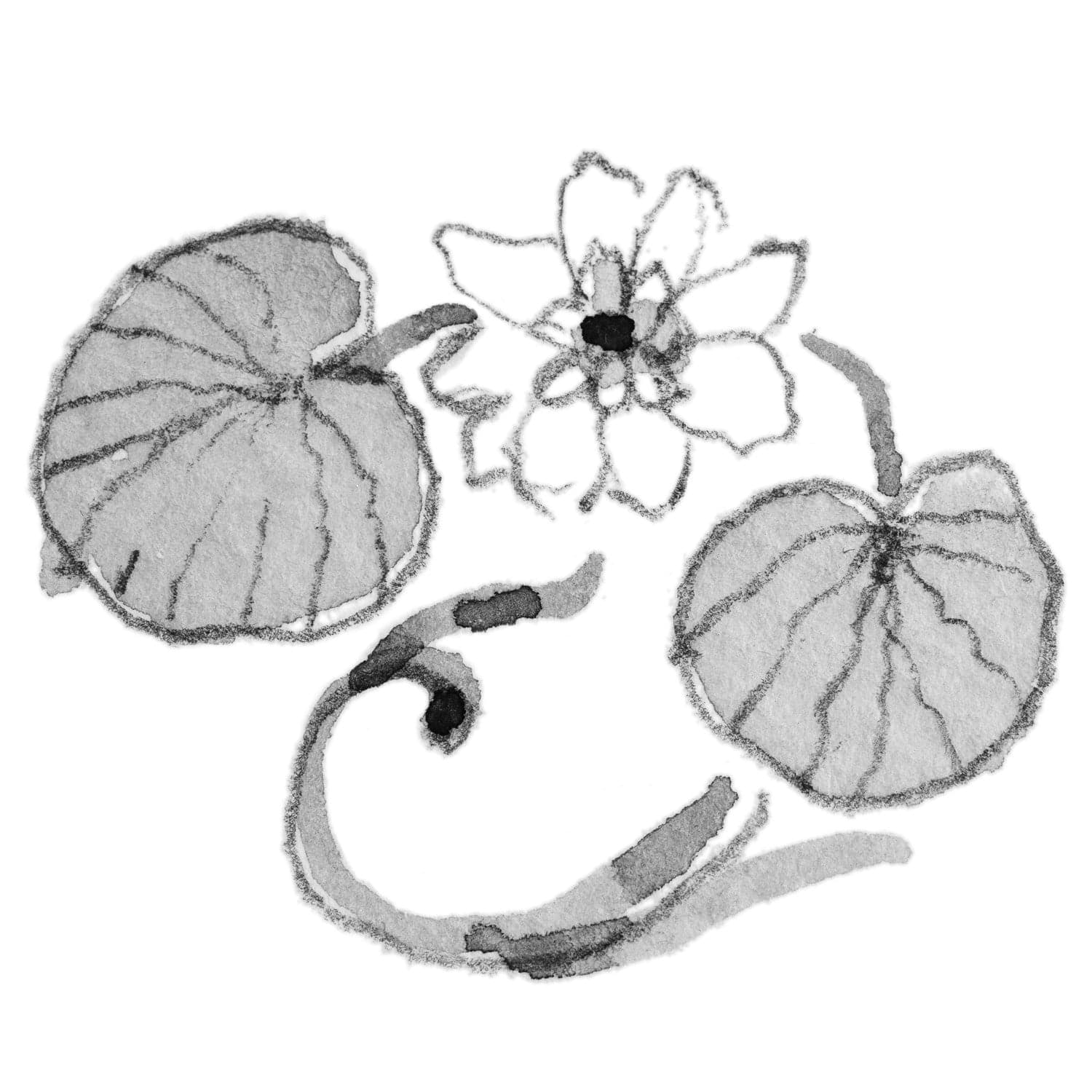 Water Lily of July Bangle - M 4