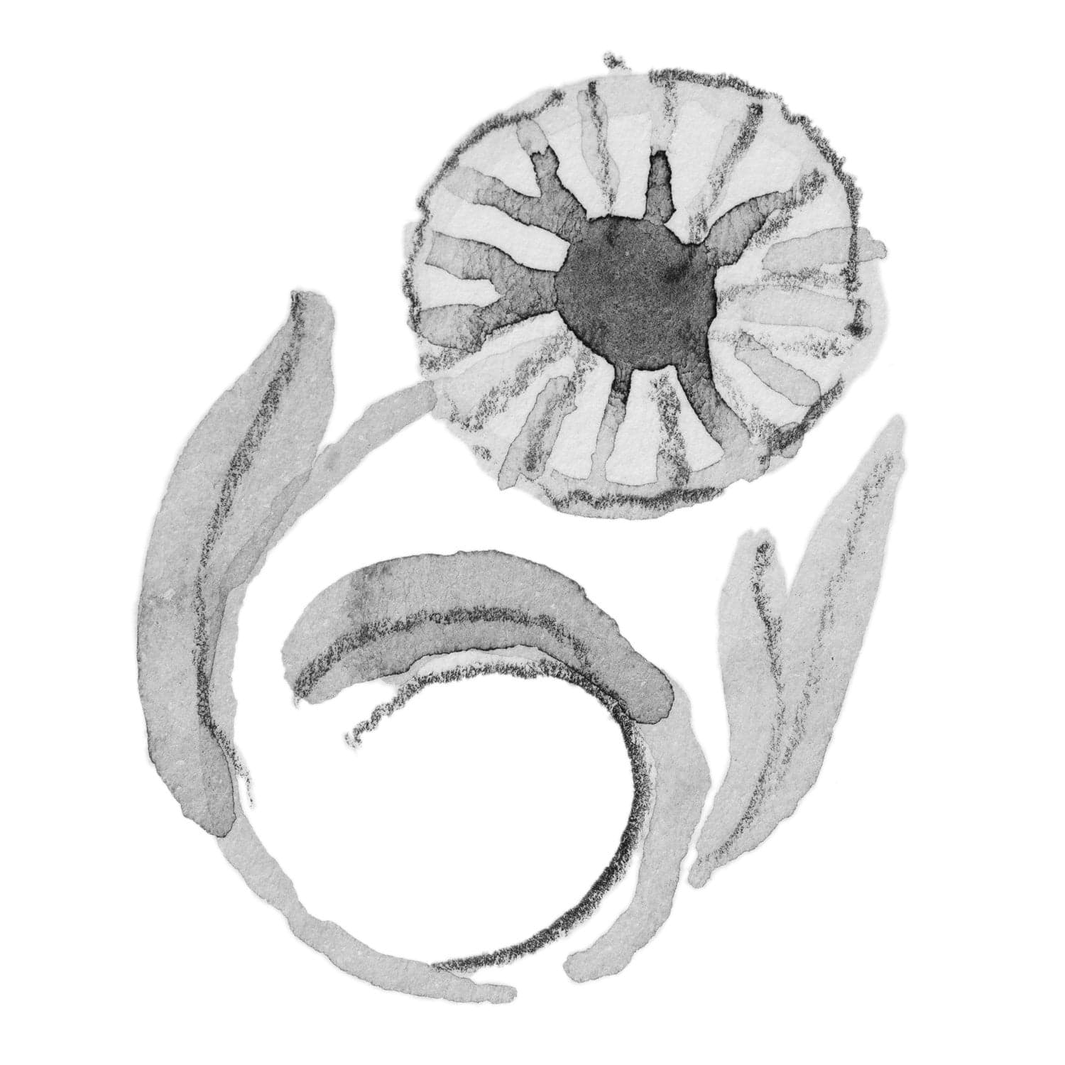 Daisy of April Bangle - XXS 4