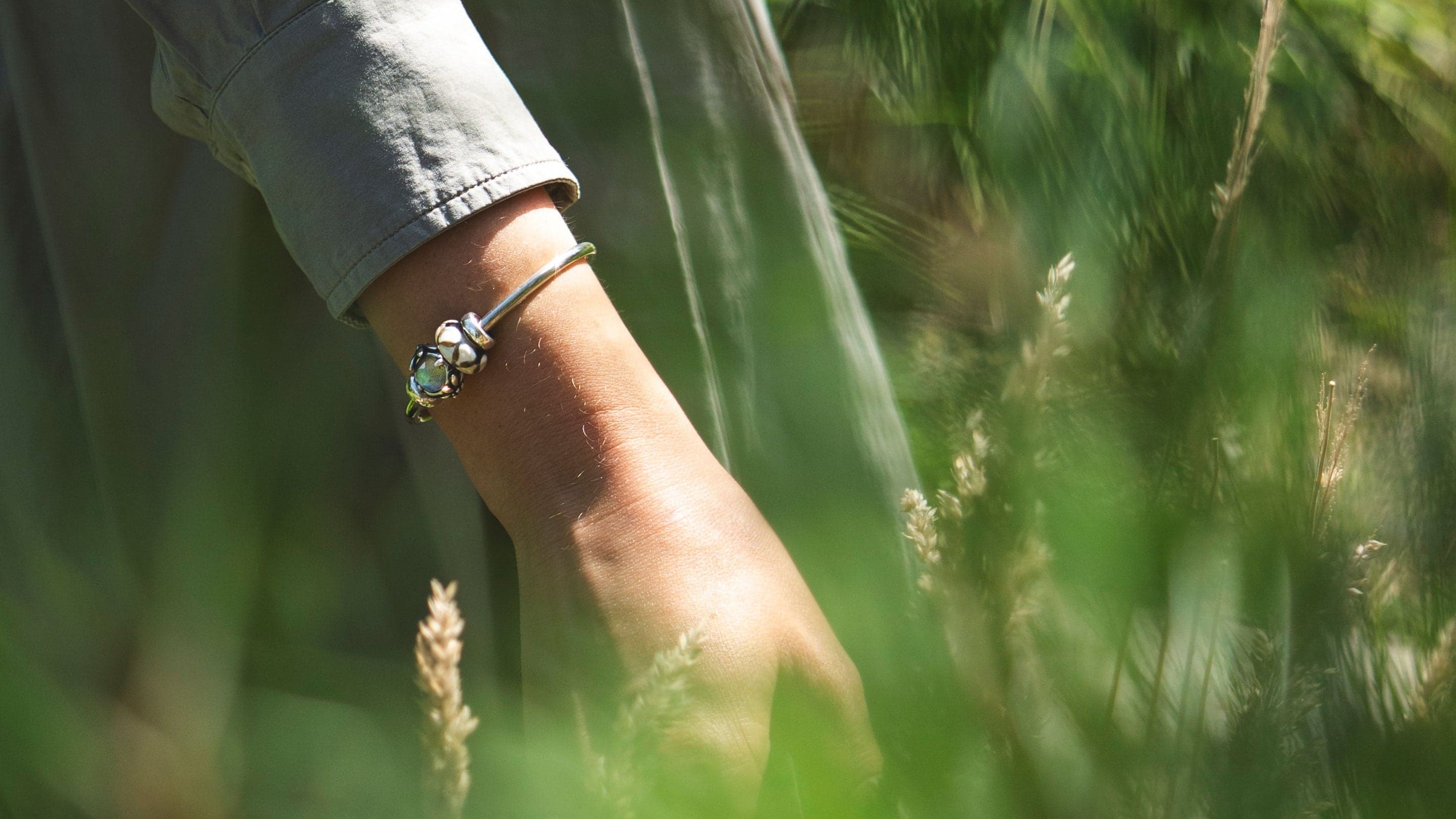 Mountain Edelweiss 3