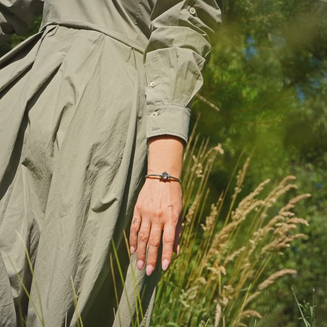 Mountain Edelweiss 5