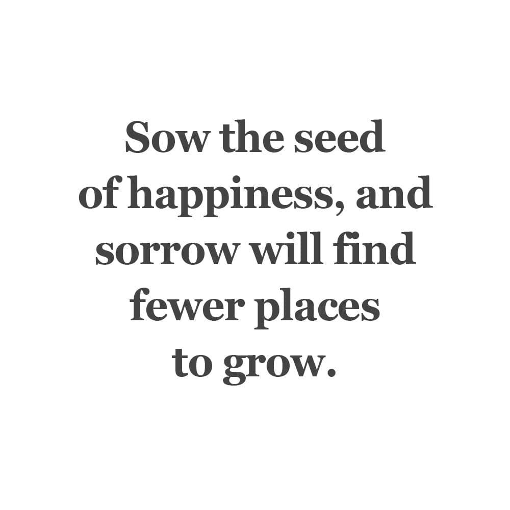 Seeds of Happiness Bead 2