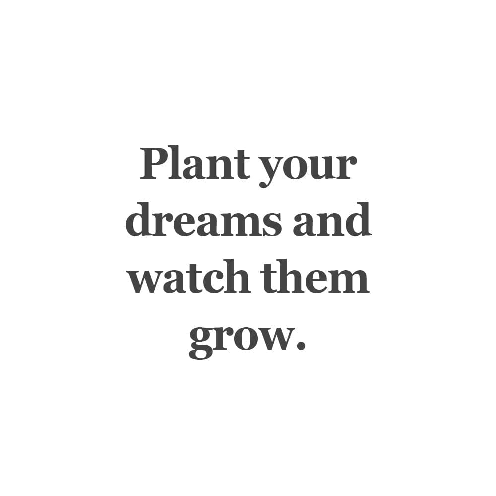 Acorn Dreams Clasp 3