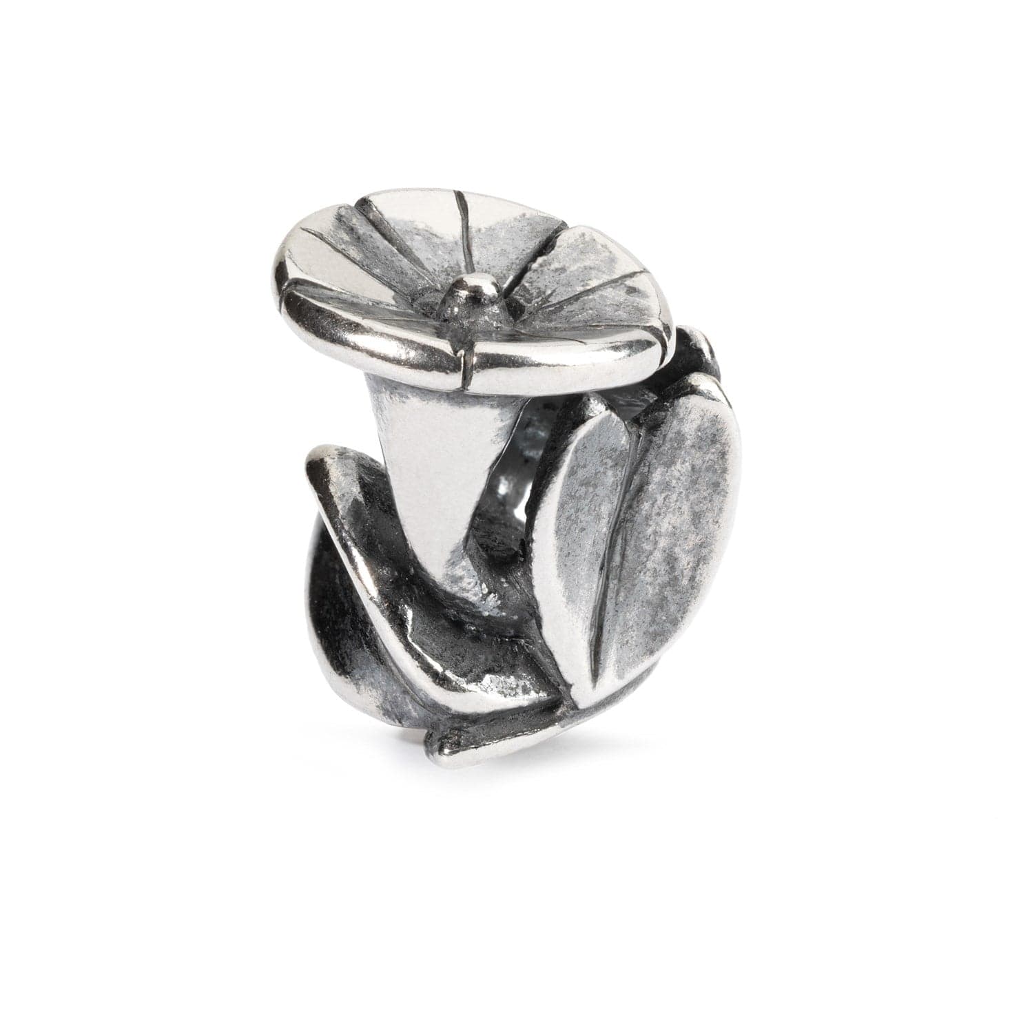 Bindweed of September Bangle - XXS 5