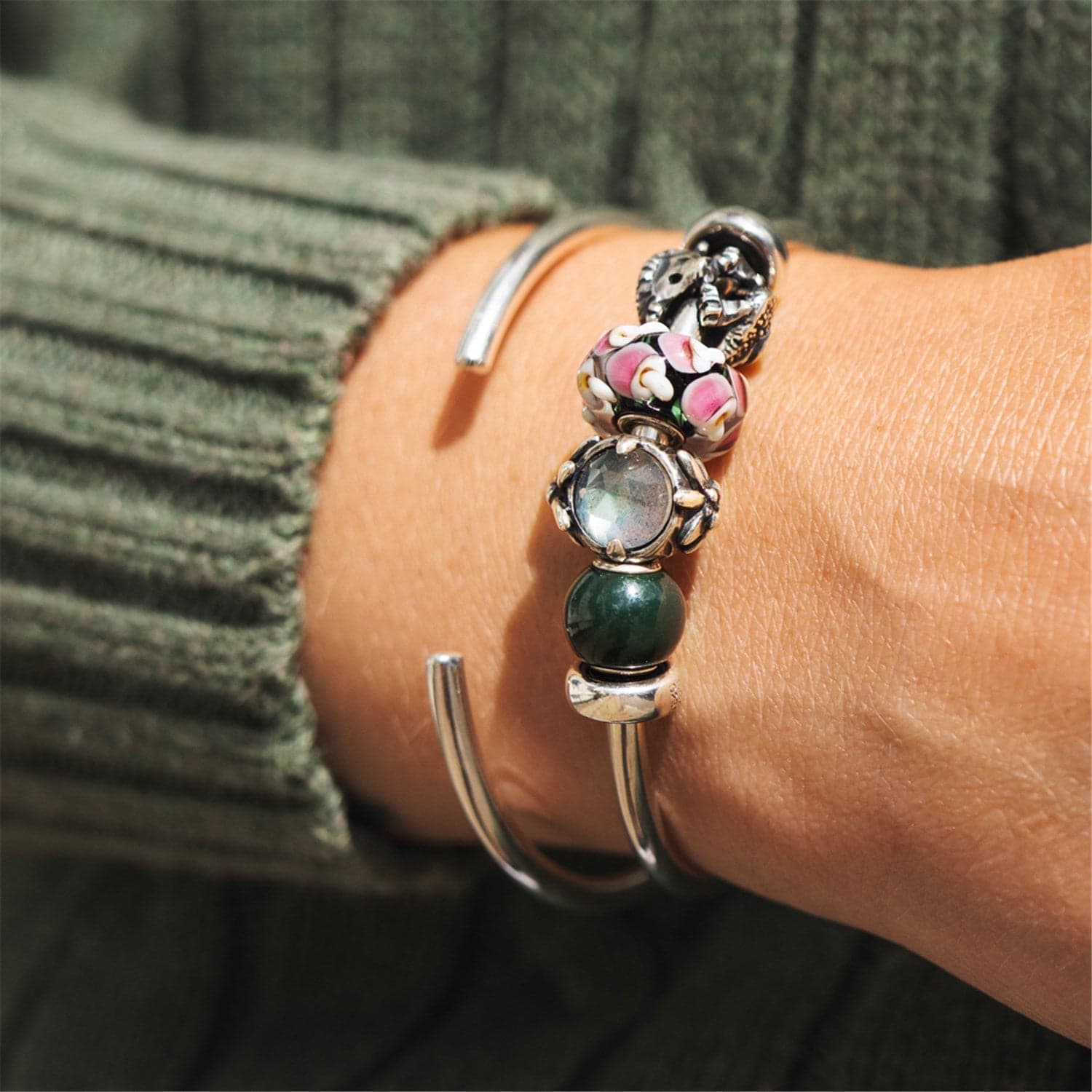 Mountain Edelweiss 6