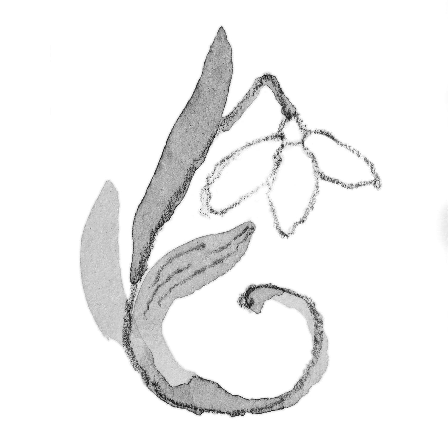 Snowdrop of January Bracelet - 7.1 6