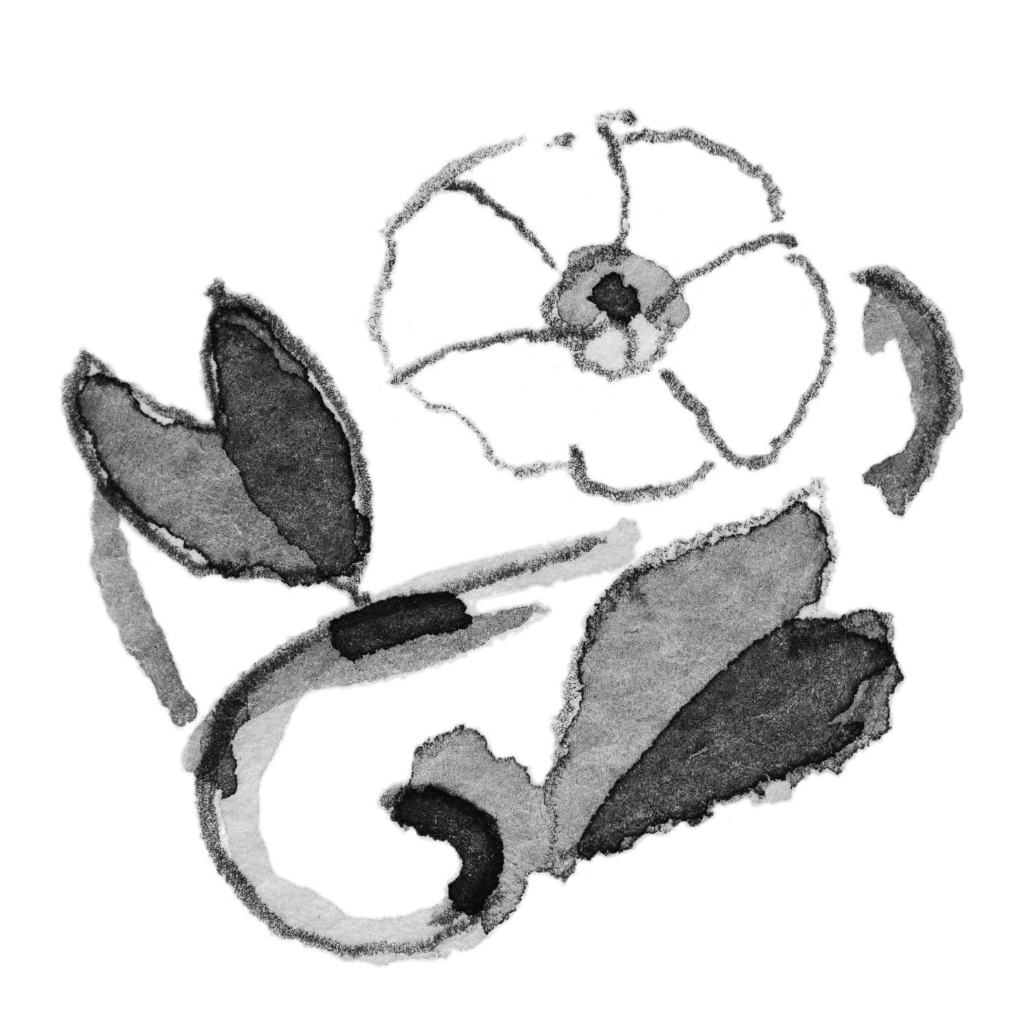 Bindweed of September Bangle - XXS 4