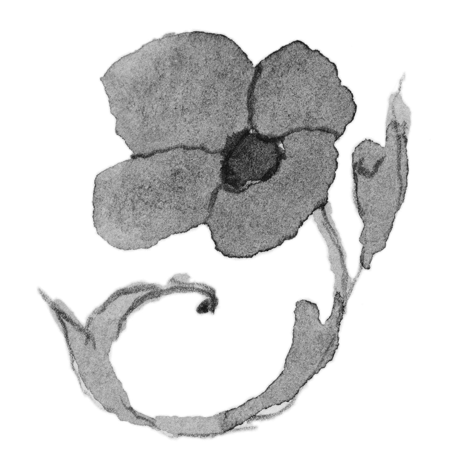 Poppy of August Bracelet - 7.9 6