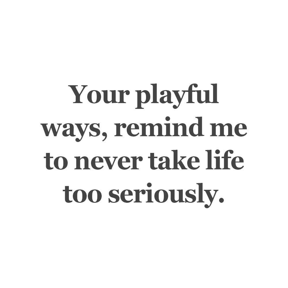 Playful Companions Spacer 2